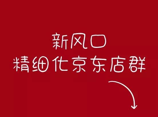 京东爆款怎么做起来的(京东如何打造爆款)