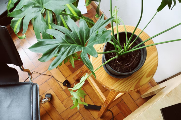 风口没了，生鲜电商陷入窘迫！